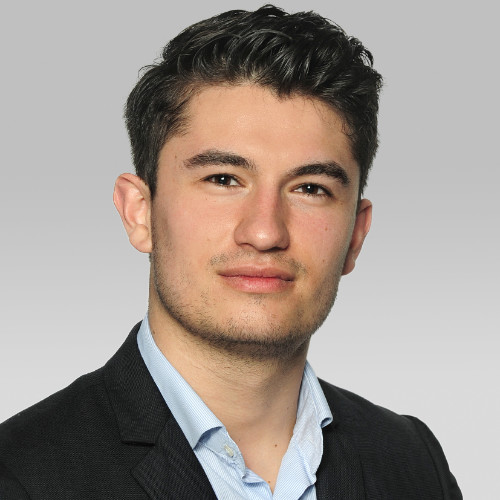 Julien Merle, Info Décision